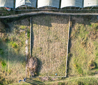 Land for Sale in Dahachowk